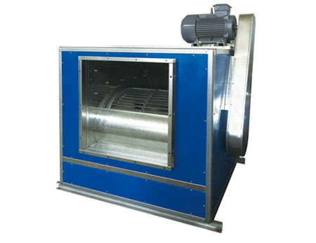 感恩同行共奋进，福启新岁谱华章